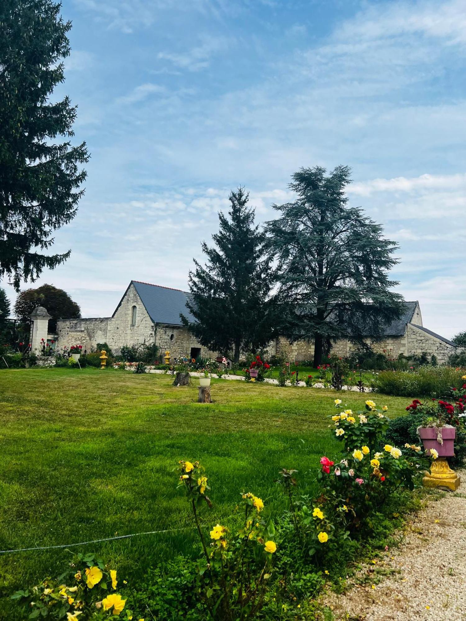 Chateau De La Thibaudiere - Chambre Du Tonneau Allonnes  Esterno foto