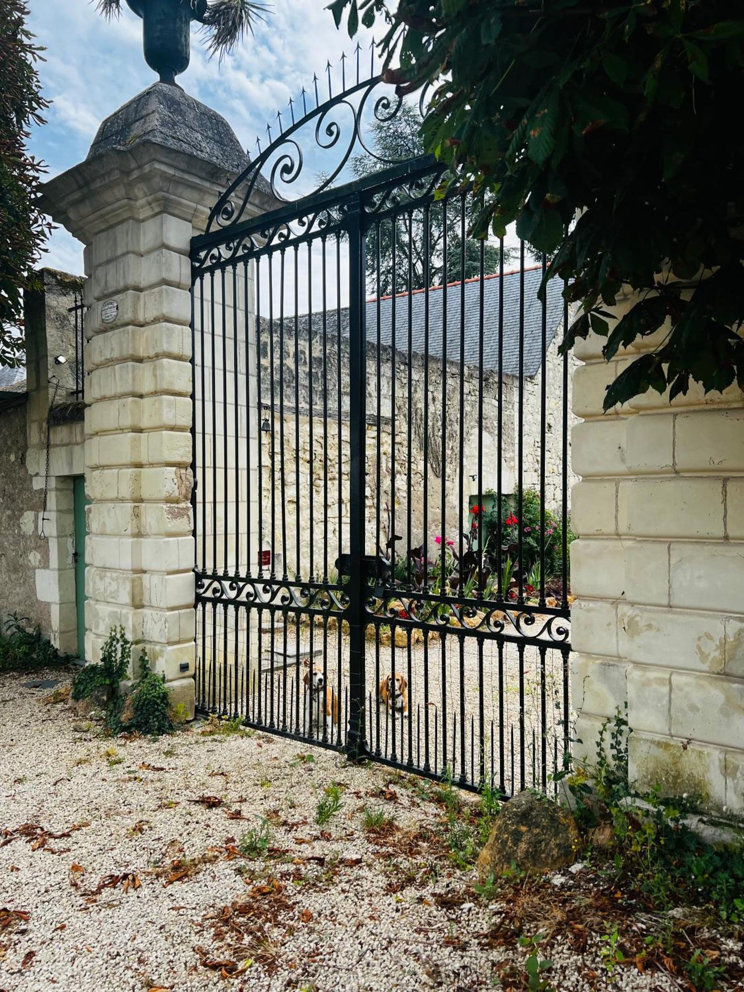Chateau De La Thibaudiere - Chambre Du Tonneau Allonnes  Esterno foto